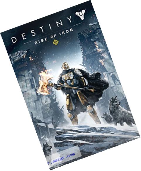 Trends International Destiny Rise of Iron Wall Poster 22.375